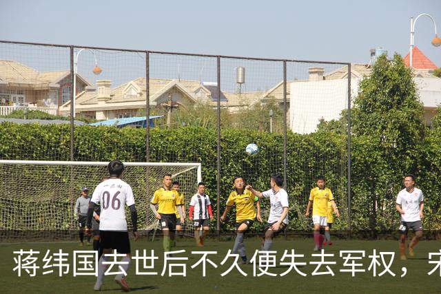 蒋纬国去世后不久便失去军权，宋美龄感叹他连医药费都付不起